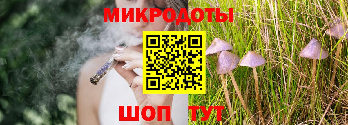 Домодедово  Псилоцибиновые грибы MAGIC MUSHROOMS  Галлюциногенные грибы прущие грибы  Вход с VPN 