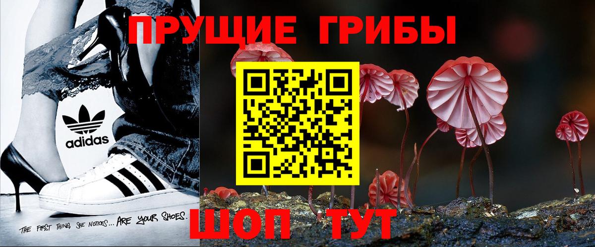 Псилоцибиновые грибы Psilocybine cubensis Домодедово
